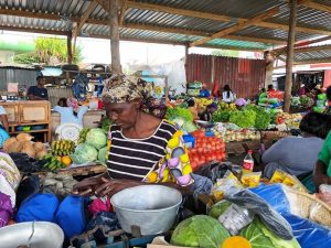 WhatsApp Image 2023-02-27 at 14.14.14