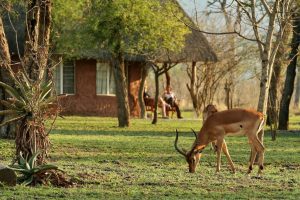 Reserva-Royal National Park de Hlane.